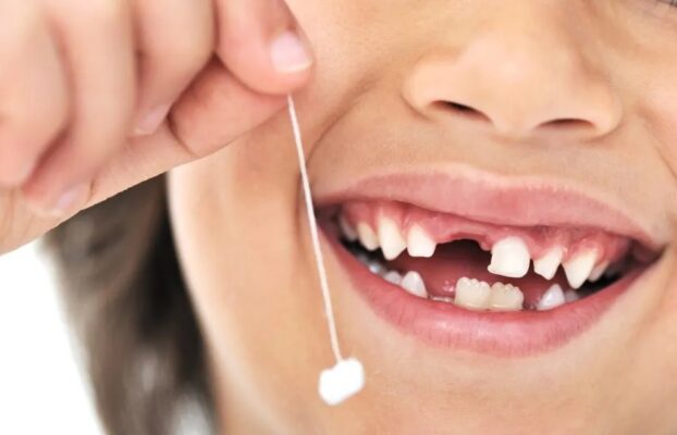 Milk Teeth to Permanent Teeth